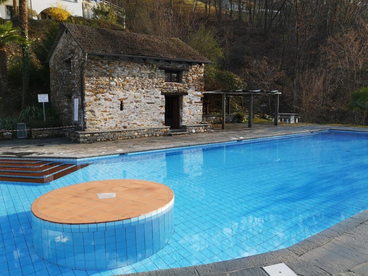 1 Zimmer Apartment Mit Seesicht Und Pool Gambarogno Exteriör bild