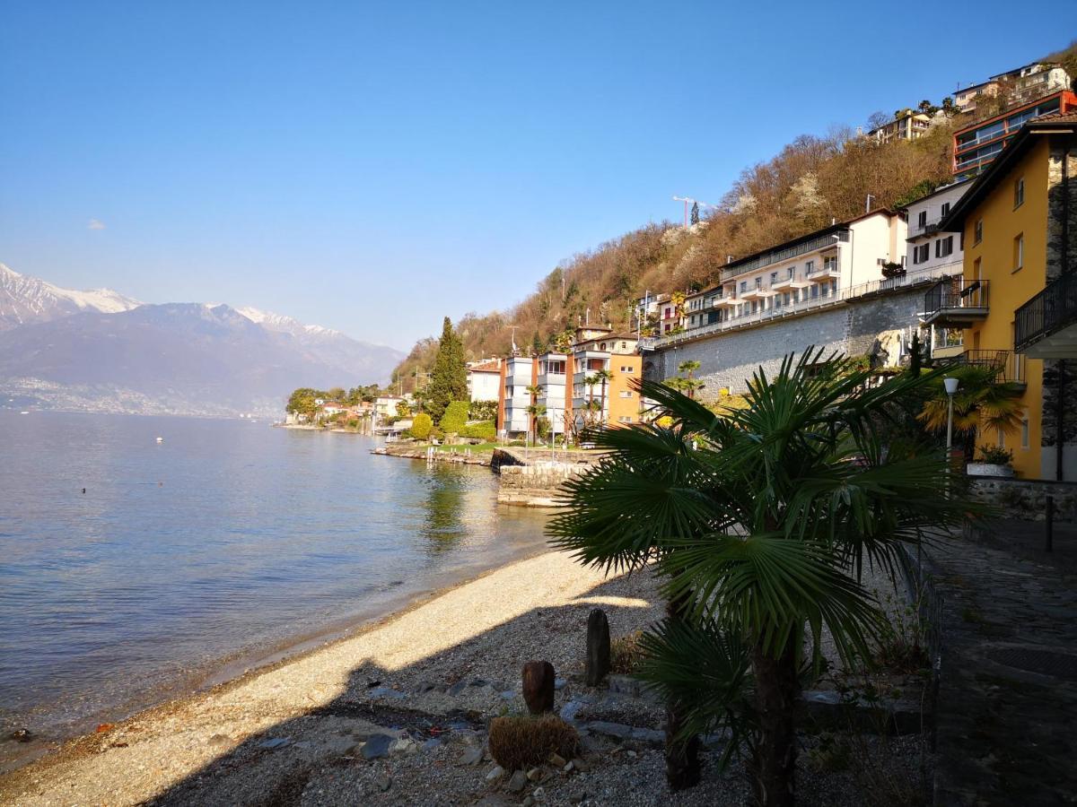 1 Zimmer Apartment Mit Seesicht Und Pool Gambarogno Exteriör bild