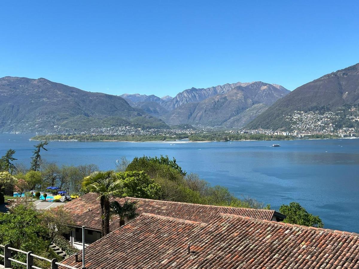 1 Zimmer Apartment Mit Seesicht Und Pool Gambarogno Exteriör bild